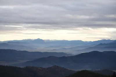 DSC_0099 (Large).JPG